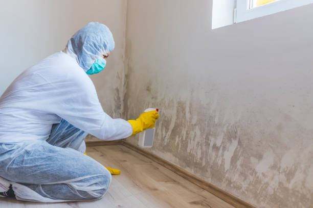 Hvac And Air Duct Mold Remediation inspection of HVAC system in El Mirage