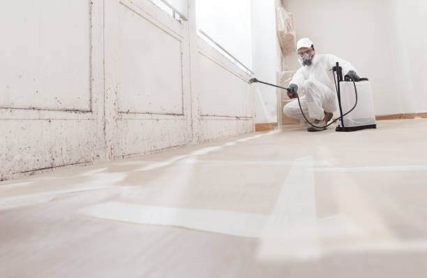 Post-remediation clearance in El Mirage